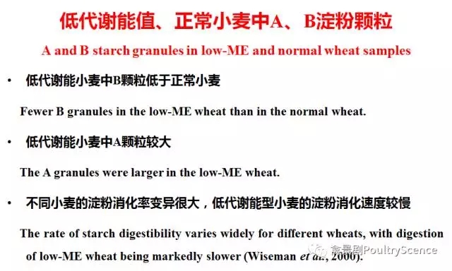 Mingan Choct: Re-understanding the quality and energy value of starch (new corn is launched)